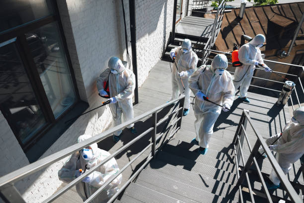 Best Basement Mold Removal  in New Hope, AL