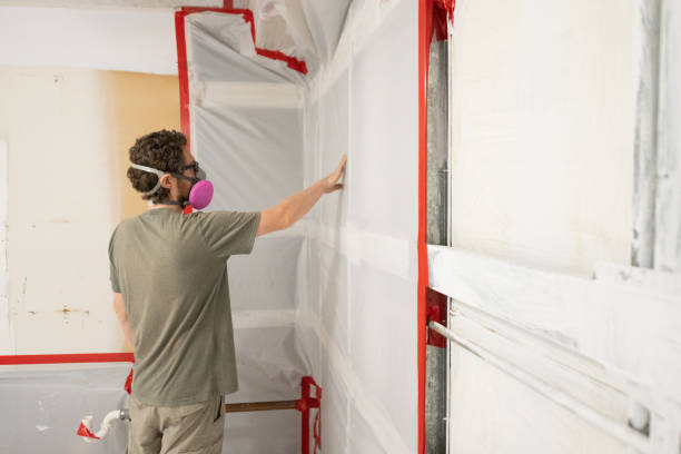 Best Real Estate Mold Inspection  in New Hope, AL