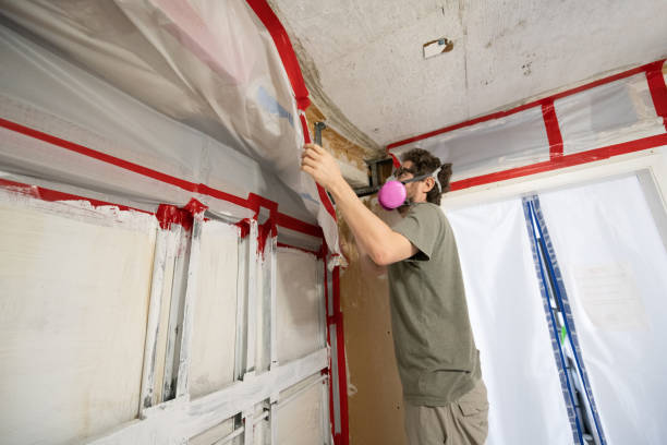 Best Water Damage & Mold Remediation  in New Hope, AL