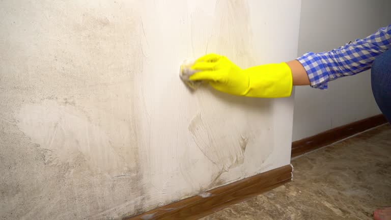 Best Industrial Mold Remediation  in New Hope, AL