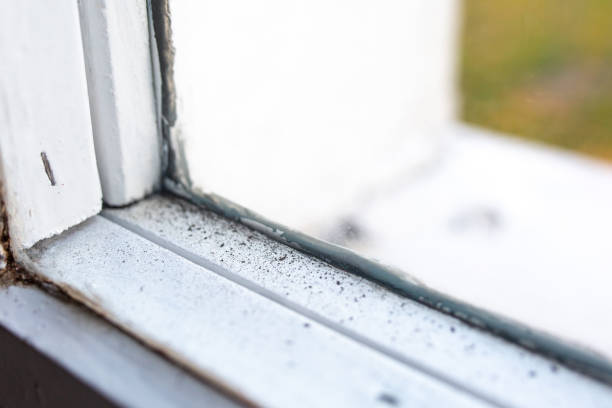 Best Mold Remediation for Healthcare Facilities  in New Hope, AL