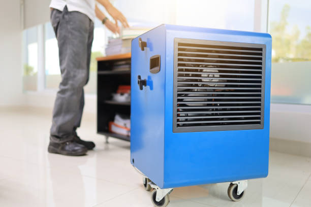 Best Mold Prevention Services  in New Hope, AL